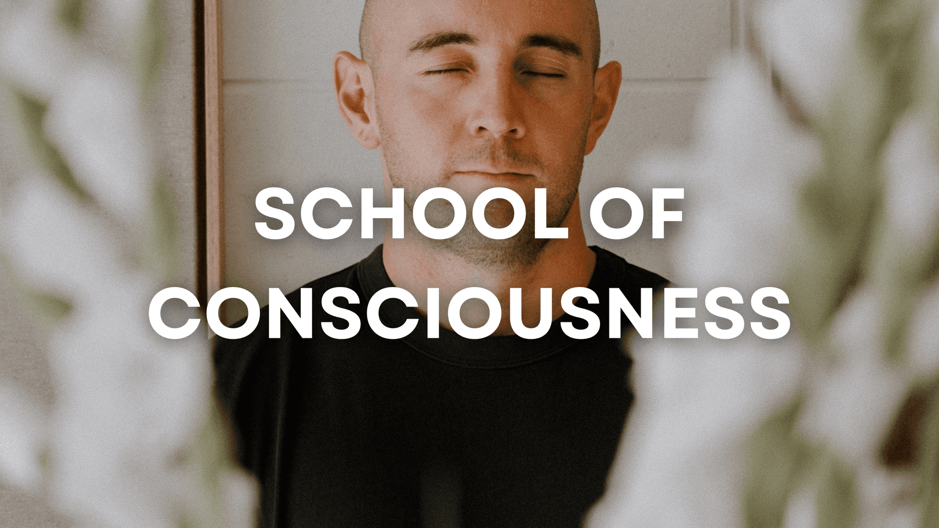 School of Consciousness